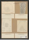 Diatomeae indet. Zeichnungen Sammlung Grunow Nr. 8479 (NHMW-BOT-W0377937)